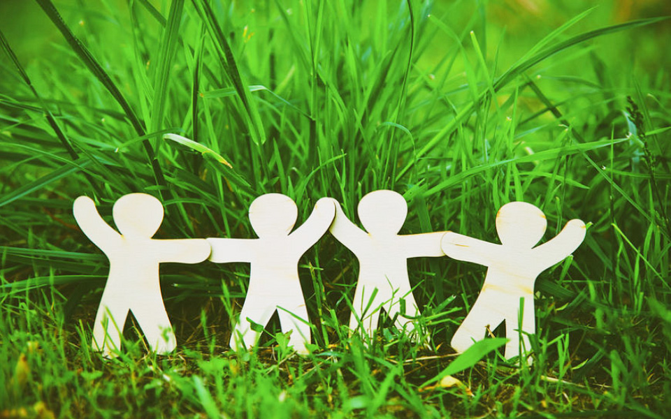 Image hover effect image